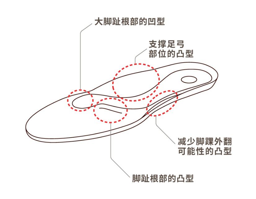 动物模型与弹性鞋底对身体的好处