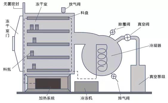 填料类与冷冻干燥机组成部分