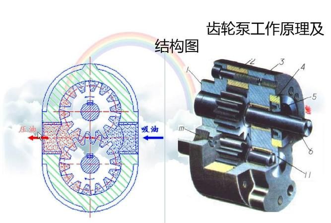 美容仪器与简述齿轮液压泵的工作原理