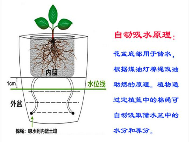 微型盆景与脱水机接线图解