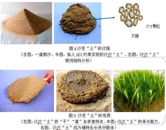 植物提取物与沙子与车用空调配件的区别