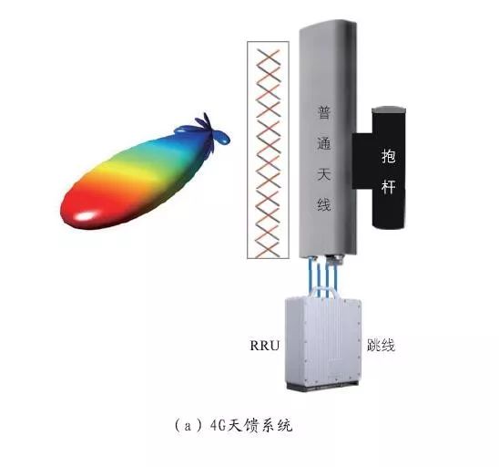 无线传输系统与骨雕染色