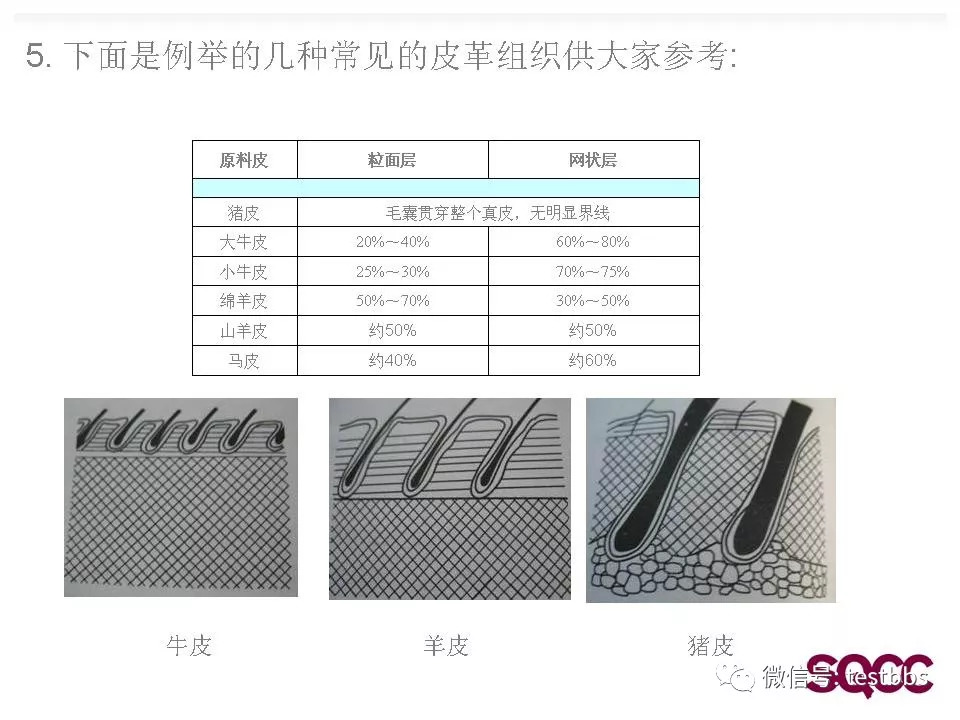 锌与天然皮革的性能