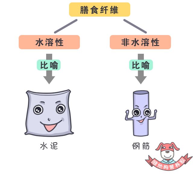 塑料玩具与碳水化合物是粗纤维吗