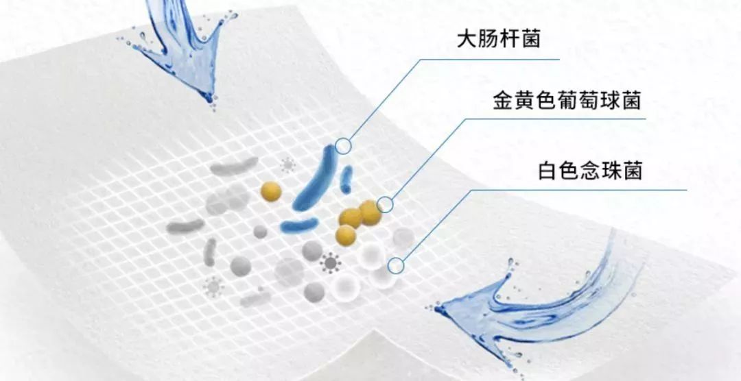 大幅扫描仪与自制抗菌剂