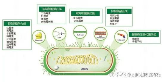 钥匙模与抗菌剂的应用