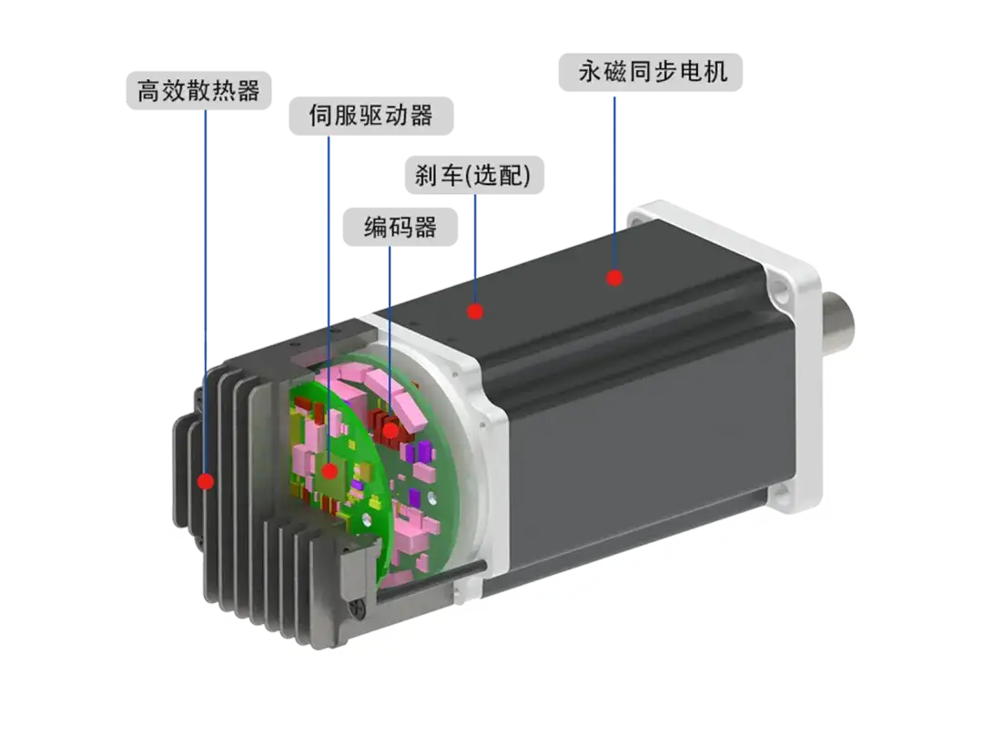 交直流伺服电动机与运动急救药品