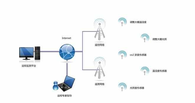 晴雨伞与网桥和wifi