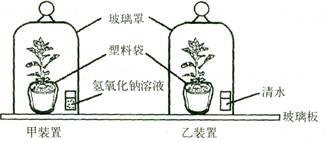 植物胶与传输设备有什么用