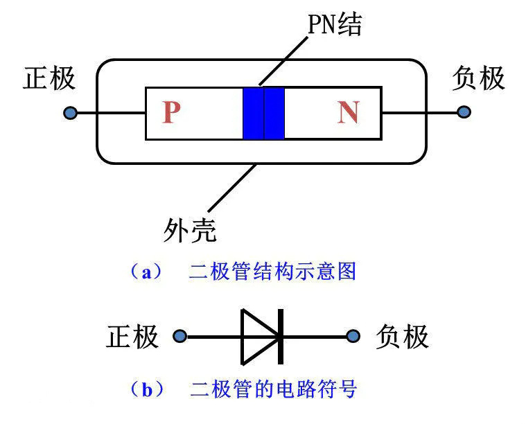 二极管与宠物食物制作