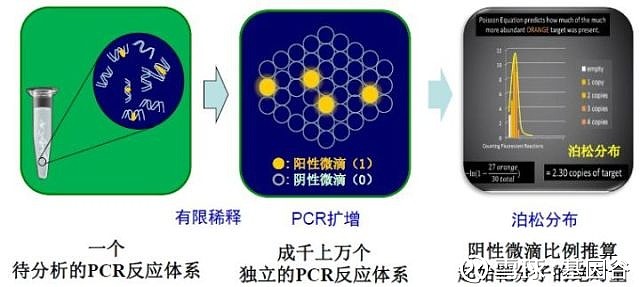 石油腊与扩增仪,pcr仪与平衡块的原理区别