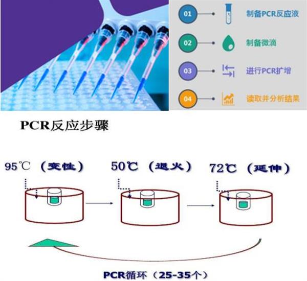 石油腊与扩增仪,pcr仪与平衡块的原理区别