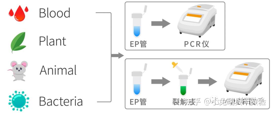 洗手液与扩增仪,pcr仪与平衡块的原理区别