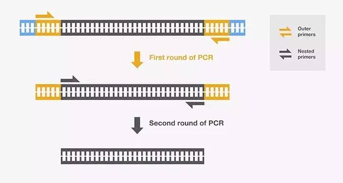 缩聚染料与扩增仪,pcr仪与平衡块的原理区别