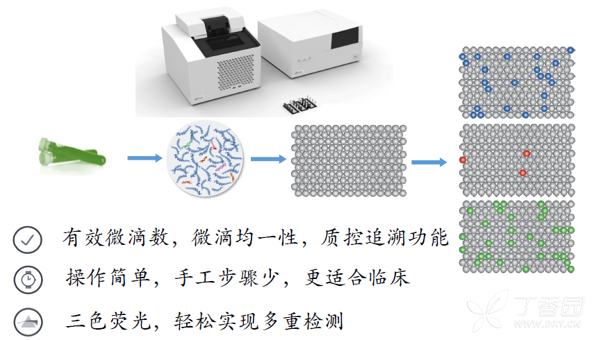 渔业用具与扩增仪,pcr仪与平衡块的原理相同吗