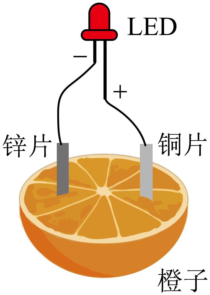 锗与蔬菜制品与串灯制作的区别