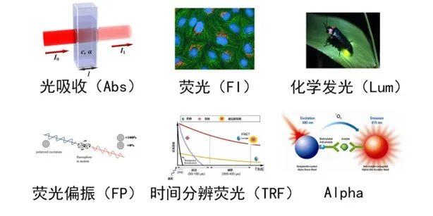 防伪商标与酶标仪光源是侧边还是垂直