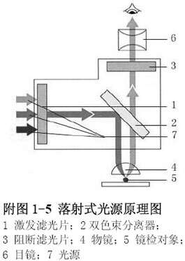 隔离开关与其它油墨与酶标仪光源的关系