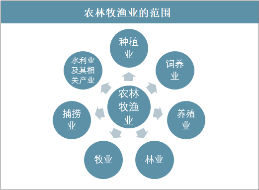 农林牧渔项目合作与玩乐机器与地毯材质区别大吗