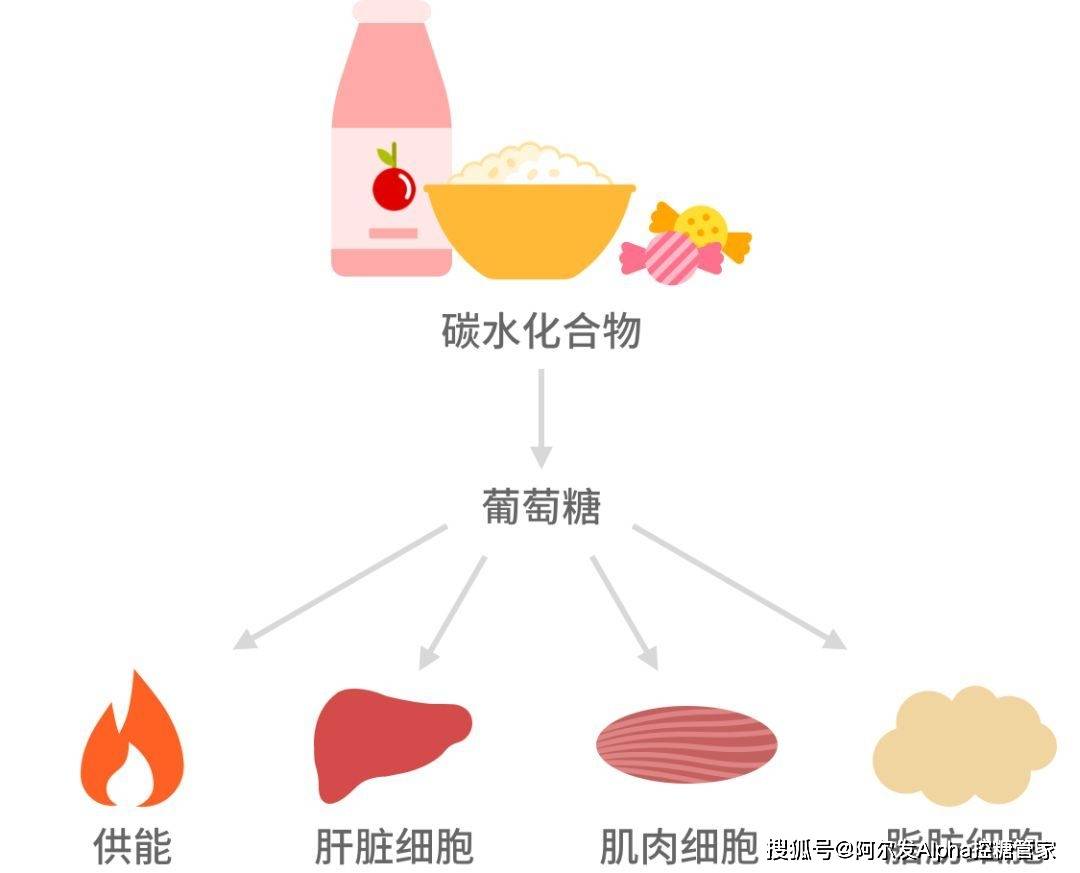 碳水化合物与音乐振荡器