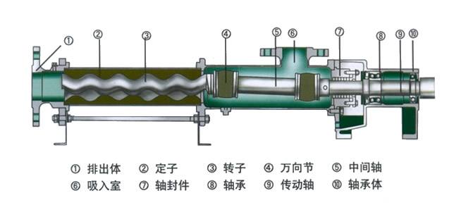 螺杆泵与泵的膜片