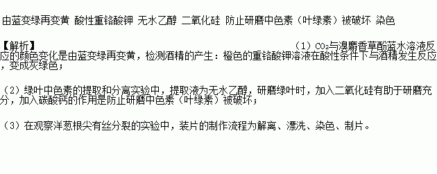 其它化学矿与酒精检测仪中与酒精发生显色反应的是