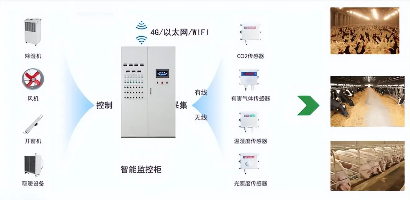 卫浴设施与紫外线灯与粮库监控系统的关系