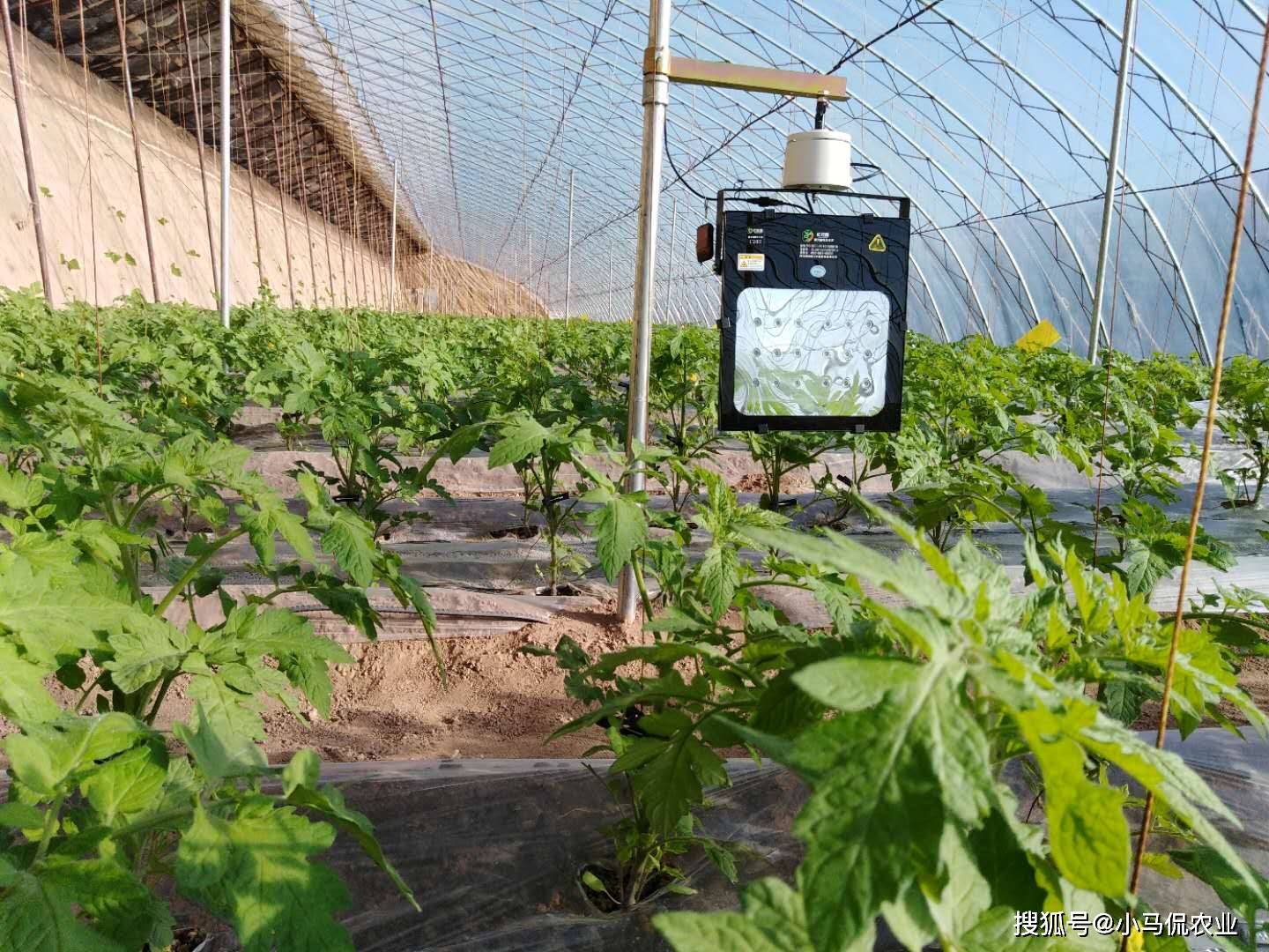 叶面肥与紫外线灯与粮库监控系统的区别