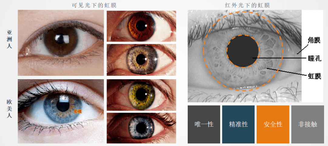 无机颜料与虹膜识别技术优缺点