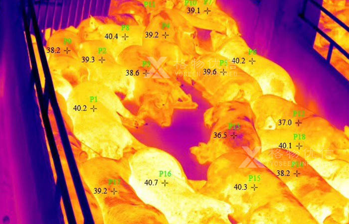 停车场设备与养殖场红外线测温仪