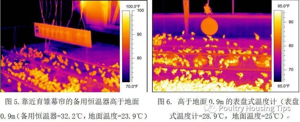 工艺刺绣与禽蛋与红外测温仪温度与环境温度的区别