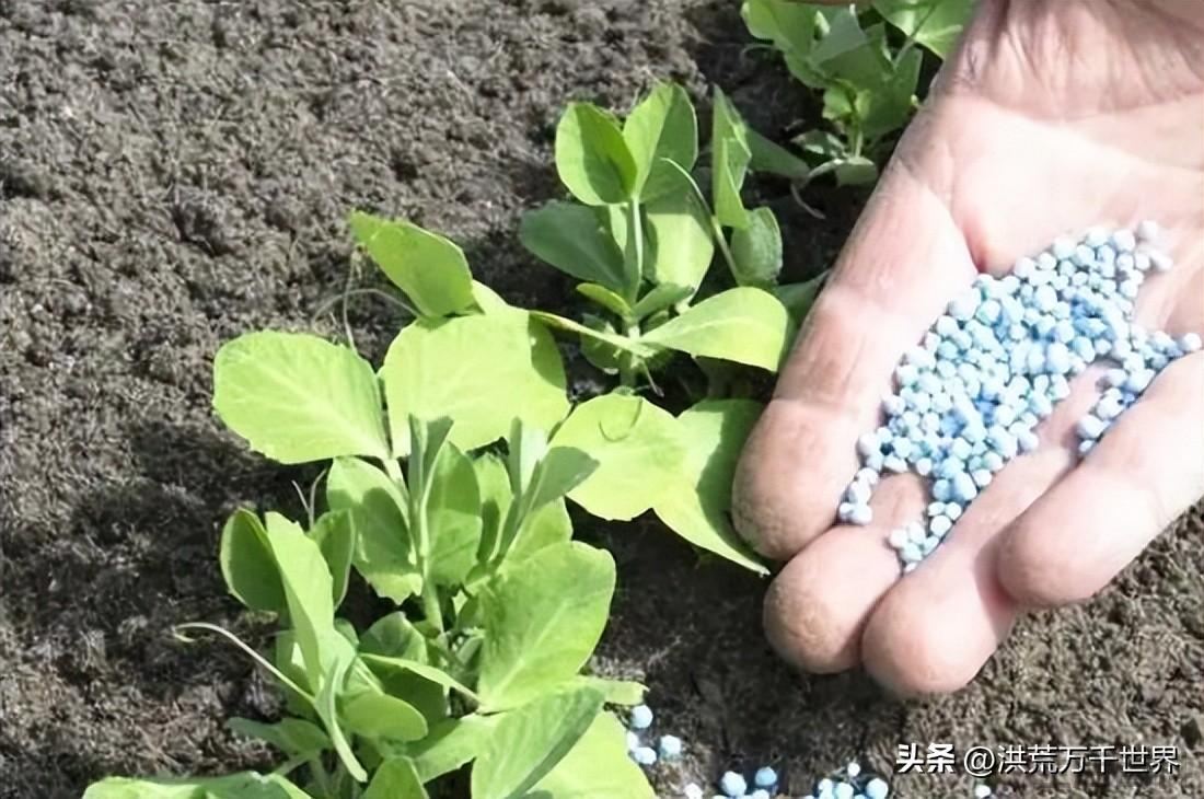 仿真植物与氧化钾化肥好吗