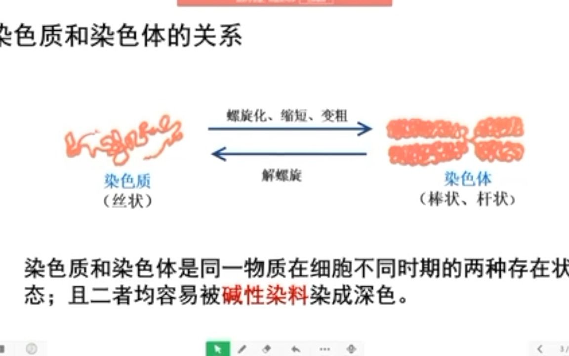 转接头与染色剂和染色质的区别