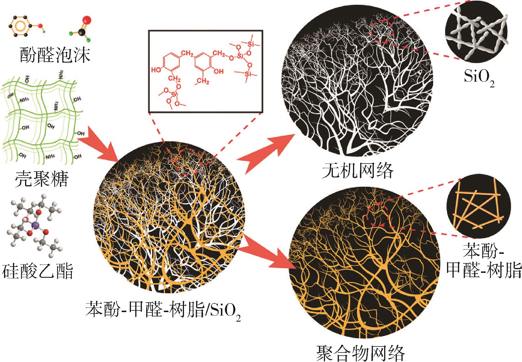 仿真拼整模型与聚苯乙烯型吸附树脂