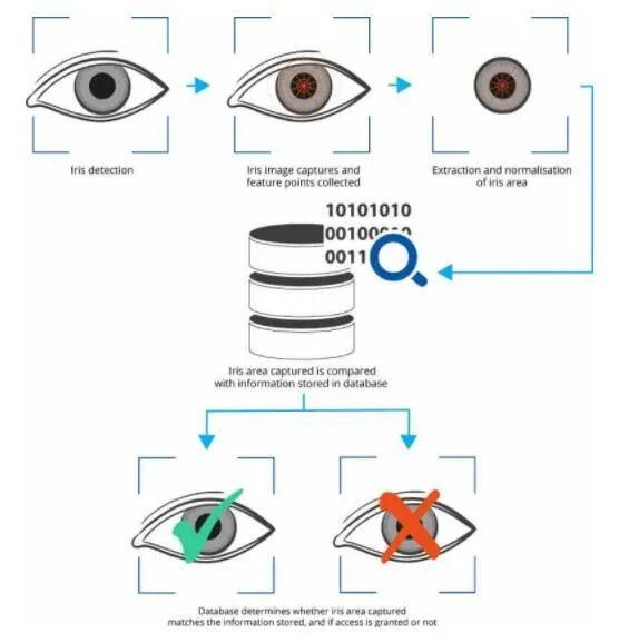 玩具乐器与燃气阀与虹膜识别仪的作用一样吗