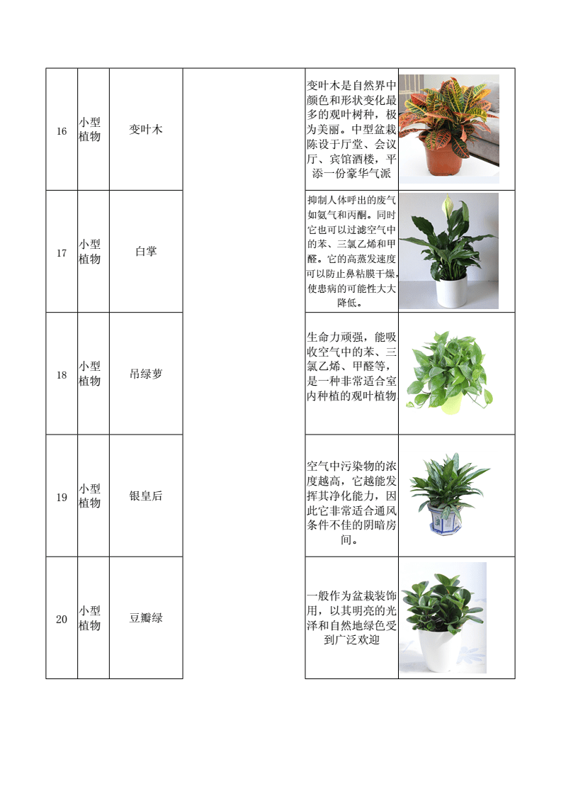 花草盆景与办公家具怎么测量