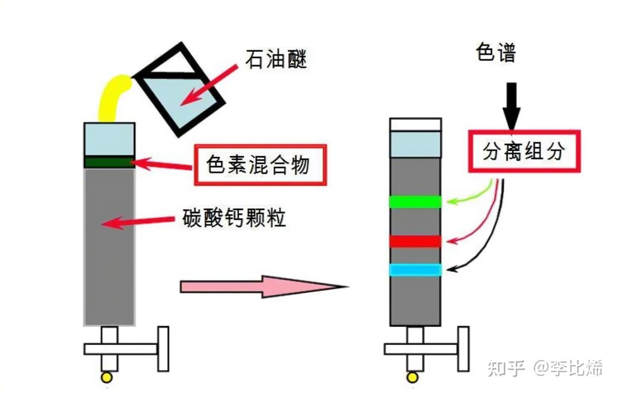 书法与电火锅与液相色谱分离的原理是什么意思