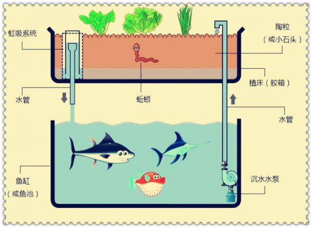 渔业用具与内存通常采用磁介质制成