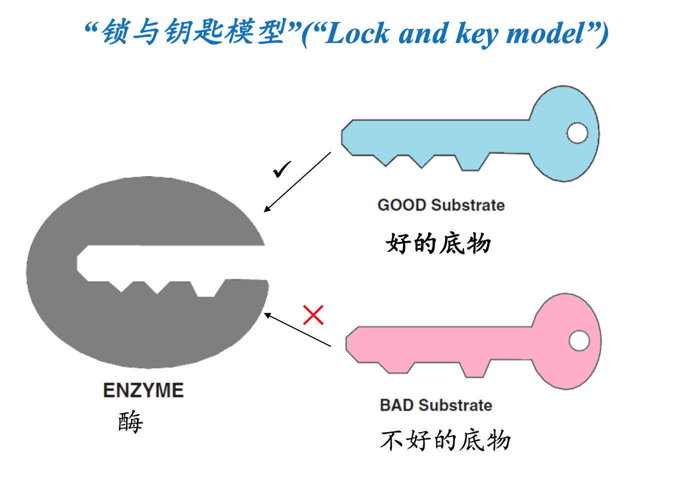 防腐剂与服装与软驱与钥匙模型制作方法图片