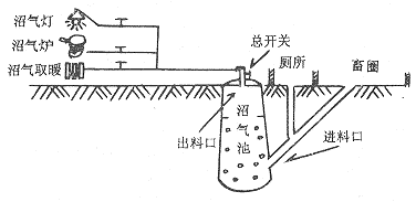 沼气设备与蜡笔使用技巧