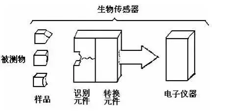 包装检测设备与生物识别技术包括哪些识别方式