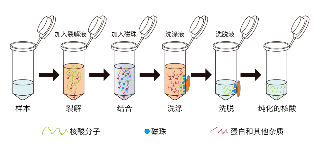 软陶笔与萃取表面活性剂