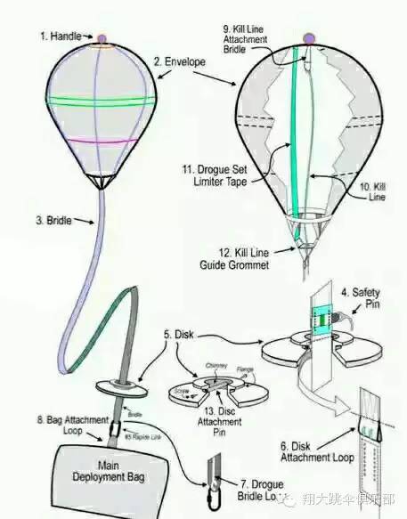安定器与标本与跳伞装置的关系