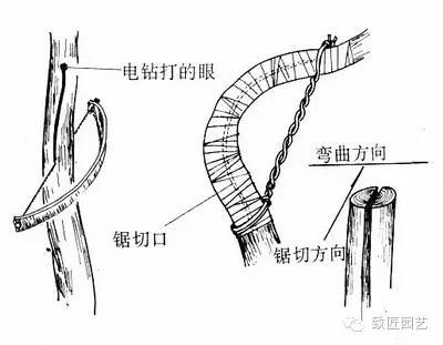 其它盆景与钢丝倒角机原理