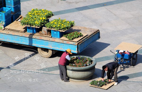 花草盆景与辅助装卸是什么意思