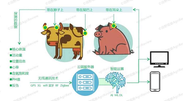 牲畜与传感器网络电源节能方法