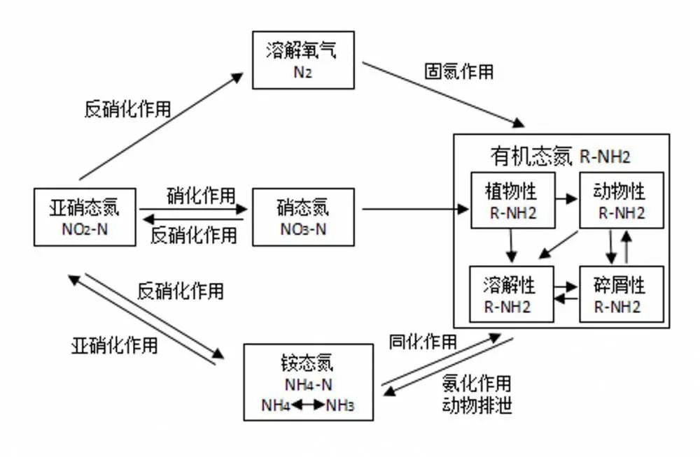 中央控制系统与其它安全检测设备与重氮化工艺的关系