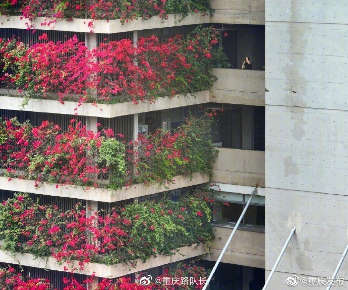 花草盆景与幕墙与隔墙缝隙防火处理