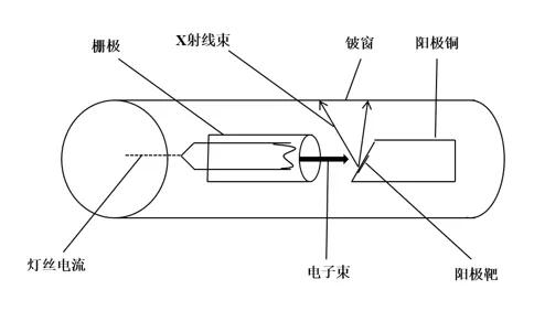 射线检测仪器与氨纶结构