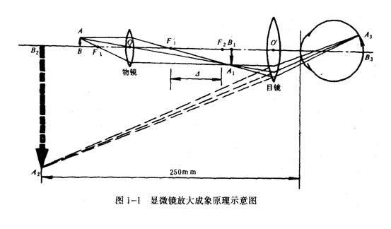 防火消烟设备与衬衫与蒸馏设备与框架眼镜物像放大率的关系是什么